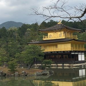 Meet your Posher, Jo